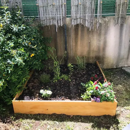 Les Tremieres Le Thou